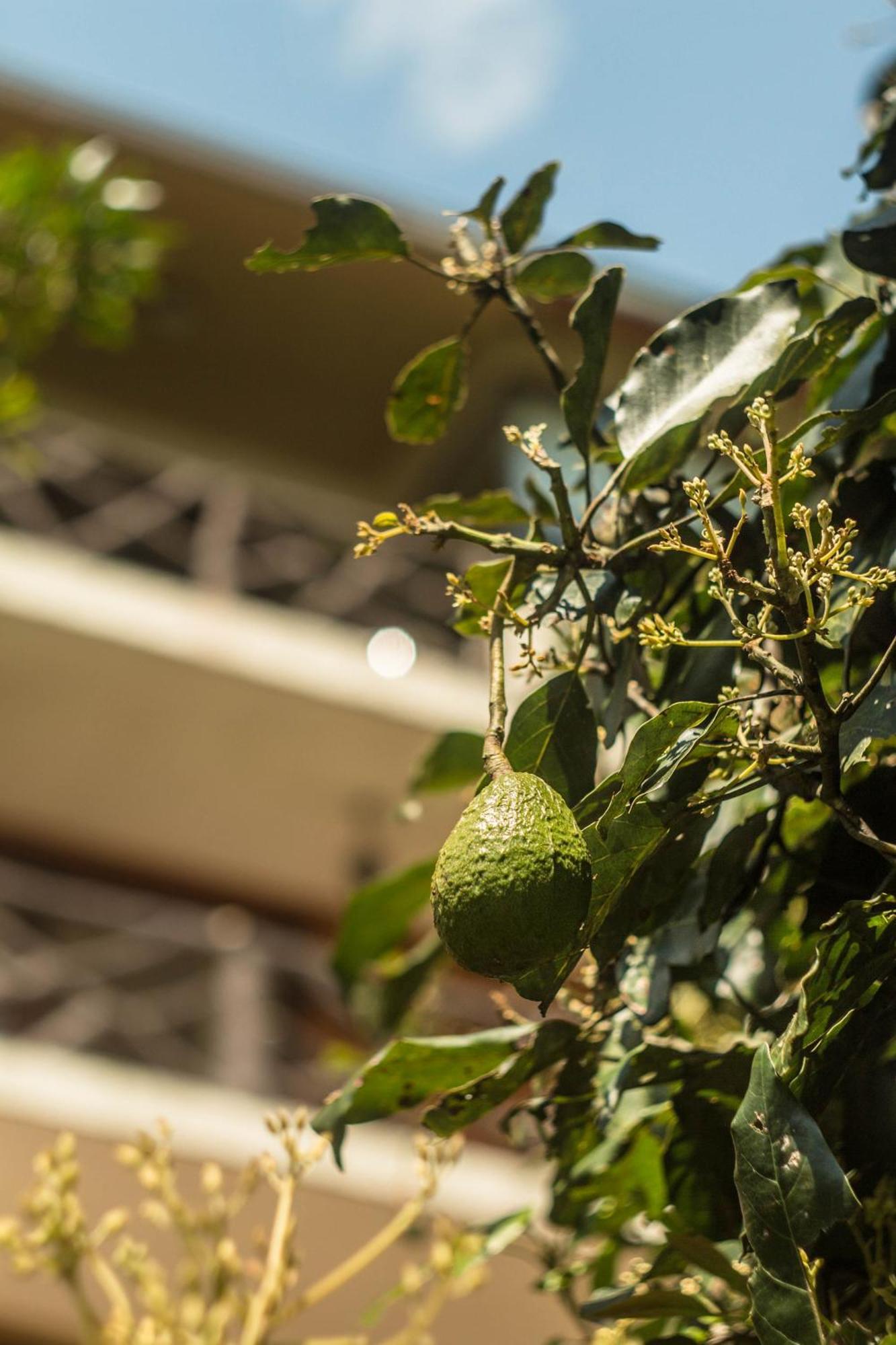 Aldea Real Eco Friendly Hotel Banos  Exterior photo